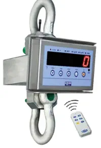 Aidelsburger Waagen Service Kranwaagen